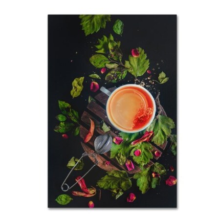 Trademark Fine Art Dina Belenko 'Stir Clockwise' Canvas Art, 12x19 1X00876-C1219GG